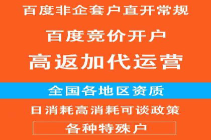 深入解析sem代运营推广公司的成功策略及效果
